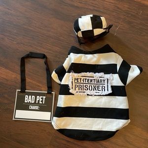 Super cute pet Halloween costume!